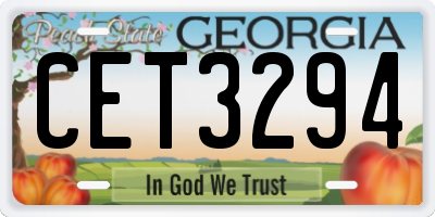 GA license plate CET3294