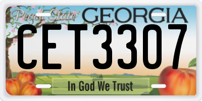 GA license plate CET3307