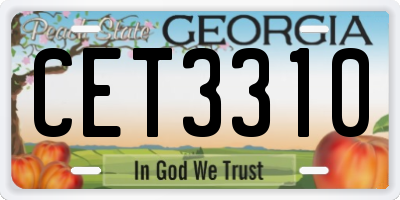GA license plate CET3310
