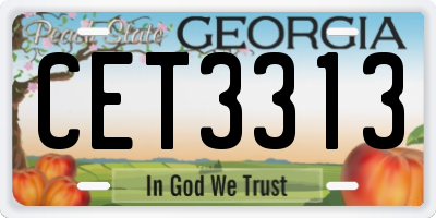 GA license plate CET3313