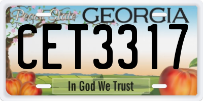 GA license plate CET3317