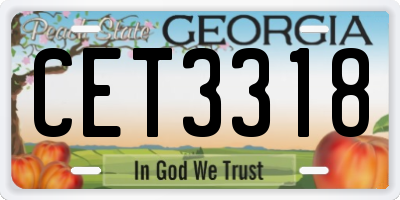 GA license plate CET3318