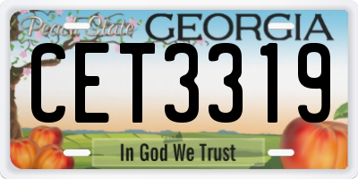 GA license plate CET3319
