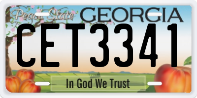 GA license plate CET3341