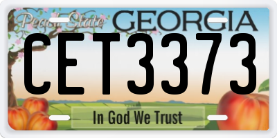 GA license plate CET3373