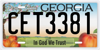 GA license plate CET3381