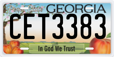 GA license plate CET3383