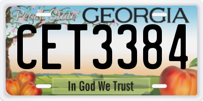 GA license plate CET3384