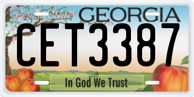 GA license plate CET3387
