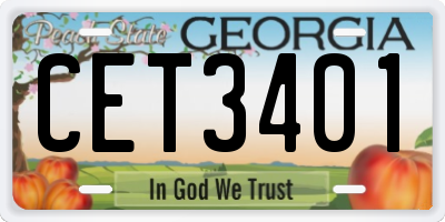 GA license plate CET3401