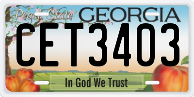 GA license plate CET3403