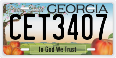 GA license plate CET3407