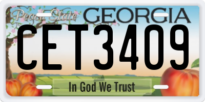 GA license plate CET3409
