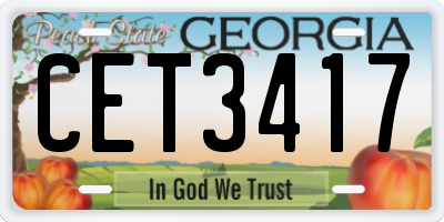 GA license plate CET3417