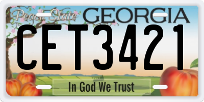 GA license plate CET3421
