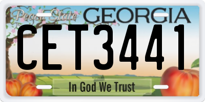 GA license plate CET3441