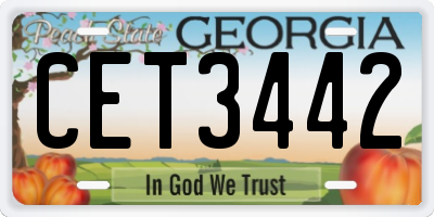 GA license plate CET3442