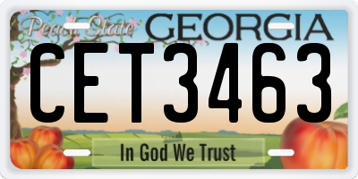GA license plate CET3463