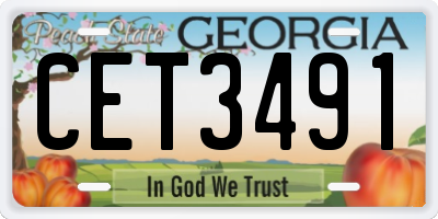GA license plate CET3491