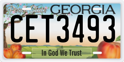 GA license plate CET3493