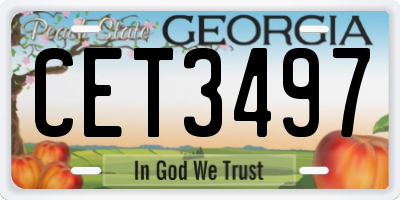 GA license plate CET3497