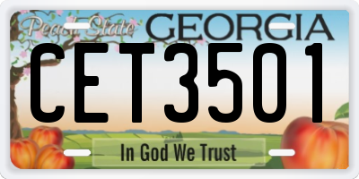 GA license plate CET3501