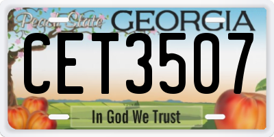 GA license plate CET3507