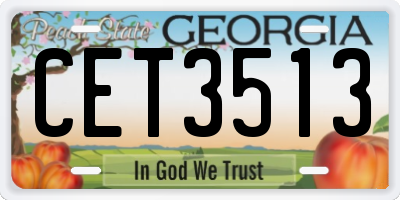 GA license plate CET3513