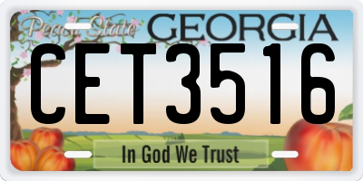 GA license plate CET3516