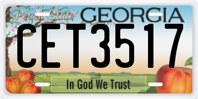 GA license plate CET3517