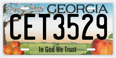 GA license plate CET3529
