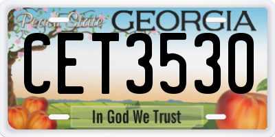 GA license plate CET3530