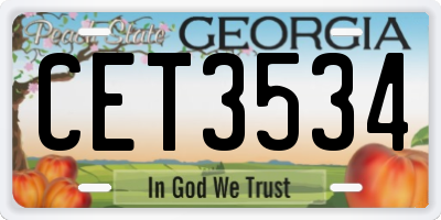 GA license plate CET3534