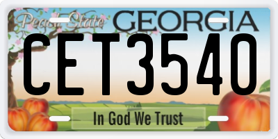 GA license plate CET3540