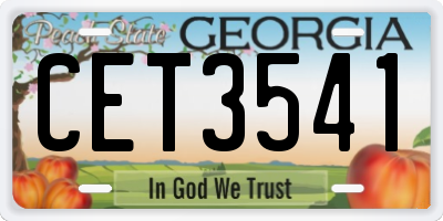 GA license plate CET3541
