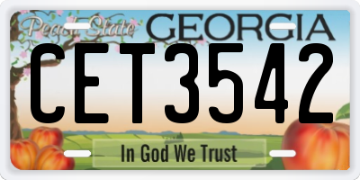 GA license plate CET3542