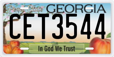 GA license plate CET3544