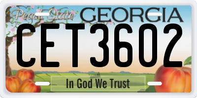 GA license plate CET3602