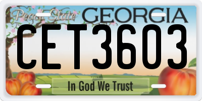 GA license plate CET3603