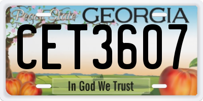 GA license plate CET3607