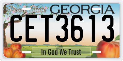 GA license plate CET3613