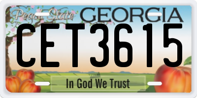 GA license plate CET3615