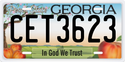 GA license plate CET3623