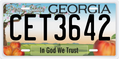GA license plate CET3642