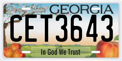 GA license plate CET3643