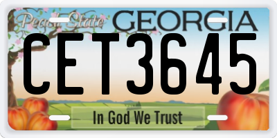 GA license plate CET3645