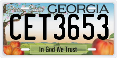 GA license plate CET3653