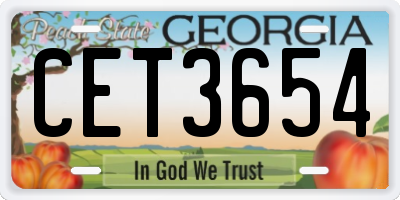 GA license plate CET3654