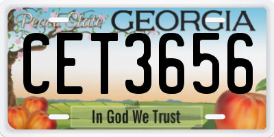 GA license plate CET3656