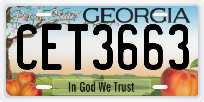 GA license plate CET3663